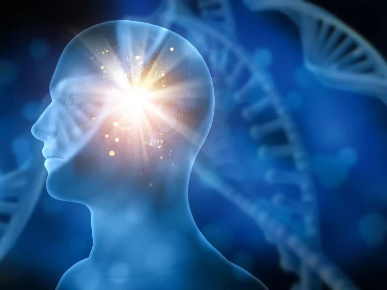 Brain scan illustrating trauma impact on the amygdala